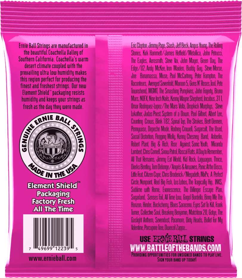 ERNIE BALL 09/42 RPS 2239