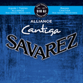 SAVAREZ CANTIGA ALLIANCE AIGU 510AJ