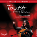 Savarez T50R Tomatito Rouge | Cordes Guitare Flamenco Tension Standard