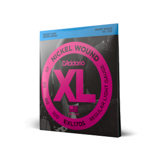 D'Addario EXL170S 45-100 – Cordes basse électrique nickel light short scale