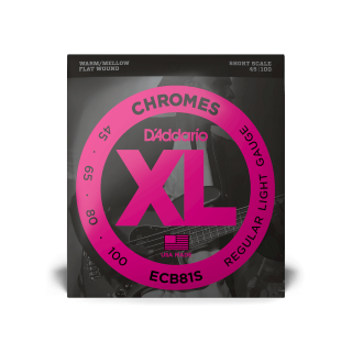 D'Addario ECB81S 45-100 – Cordes basse flatwound XL Chromes light short scale